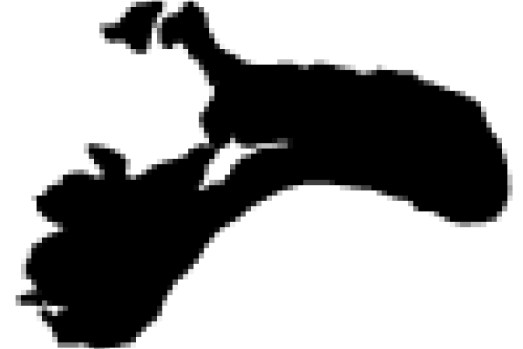 Møn