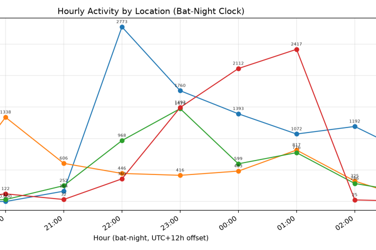 Bat activity by time