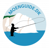 MønGuide.dk logo