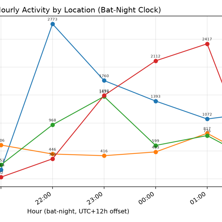 Bat activity by time